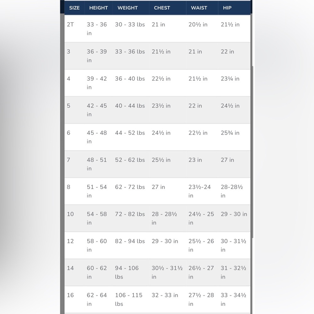 Janie and Jack Blue Floral girls sun Dress in White with Red and Blue flowe - Picture 14 of 16